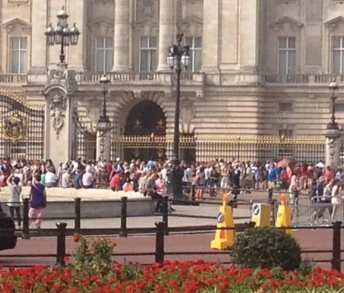 Lama Hasan ABC News (@LamaHasan)