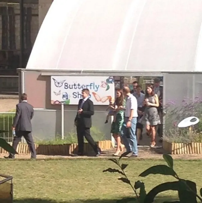 Kind Generosity of Emily Rickard (@Em_Rickard on Twitter)