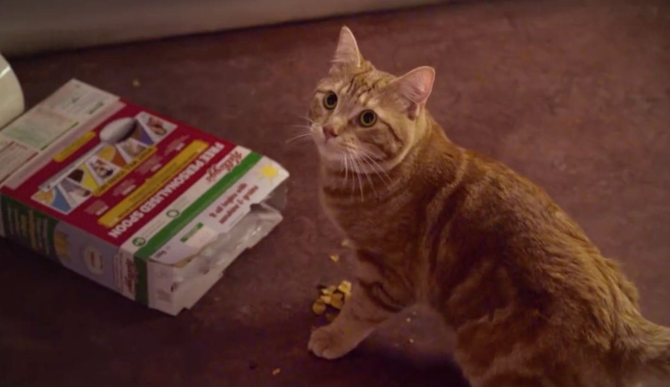 Watch Movie 2016 Online A Street Cat Named Bob