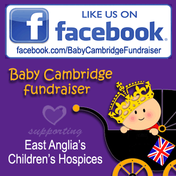 Baby Cambridge Fundraiser Facebook Page