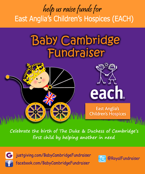 EACH Baby Cambridge Fundraiser 