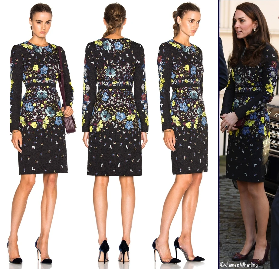 A New Erdem Dress for The Duchess at Heads Together Event – What Kate Wore