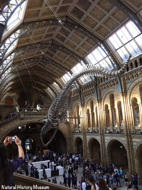 Natural History Museum