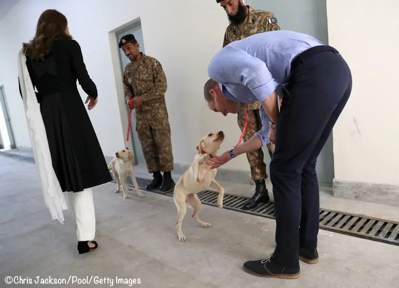 Kate Middleton puppies Salto Sky Islamabad Canine Centre Tour 