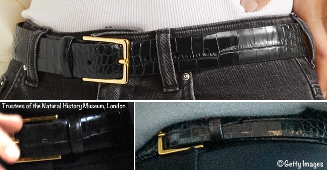 UFO Belt ID Identified Anderson's Croc Effect Leather Belt Side by Side Oct  14 2020 – What Kate Wore