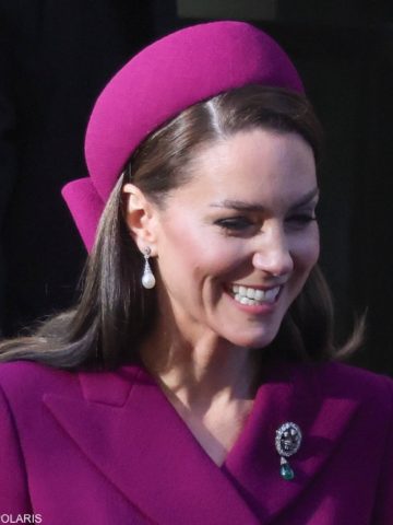 The Princess Wears Plum Ensemble for South Africa State Visit Ceremonies