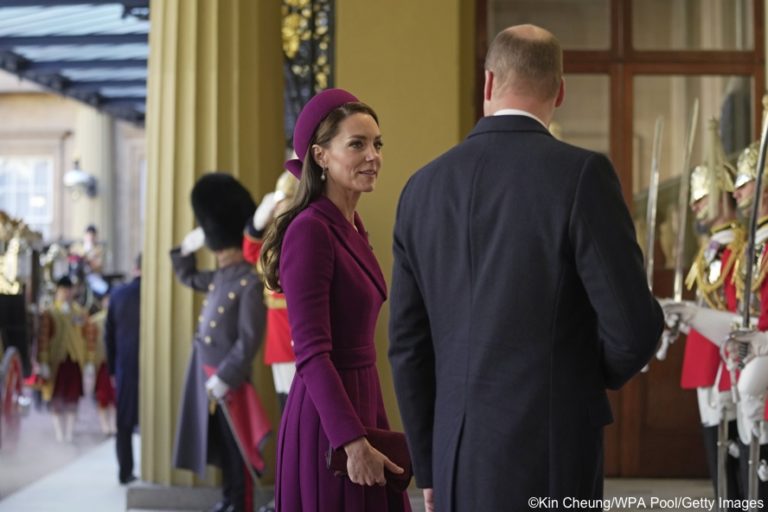 The Princess Wears Plum Ensemble for South Africa State Visit ...