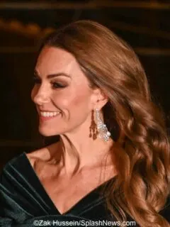 It’s a Glamorous Gown by Talbot Runhof for Royal Variety Performance